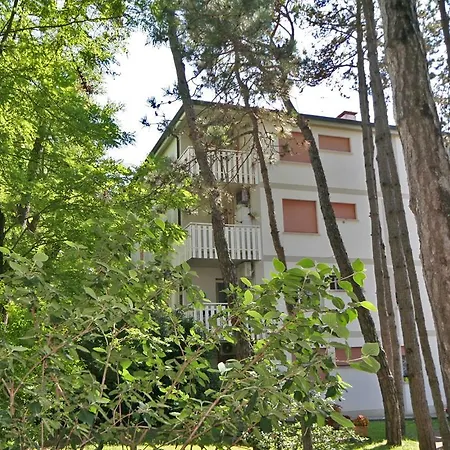 Elena * 利尼亚诺萨比亚多罗